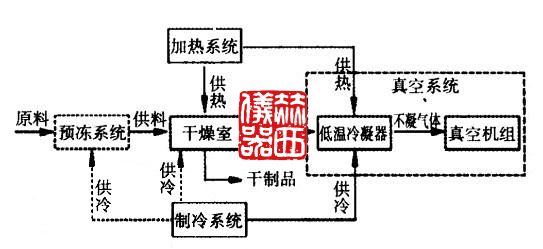 常見冷凍干燥設備