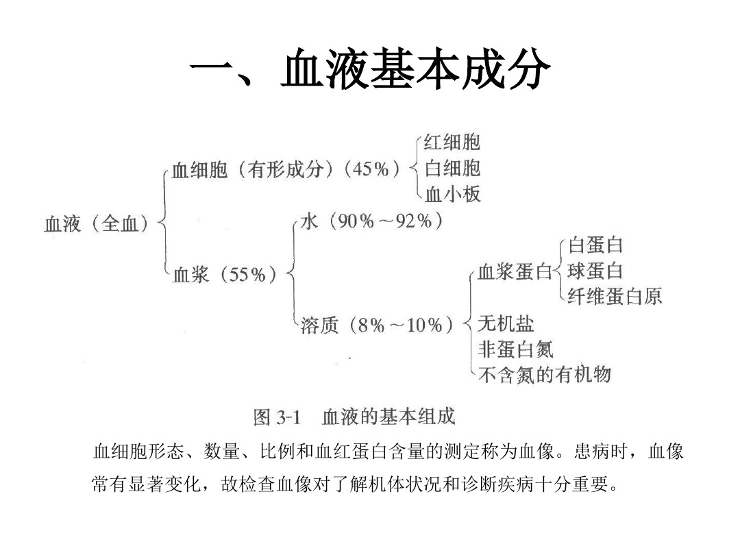 血液的基本組成